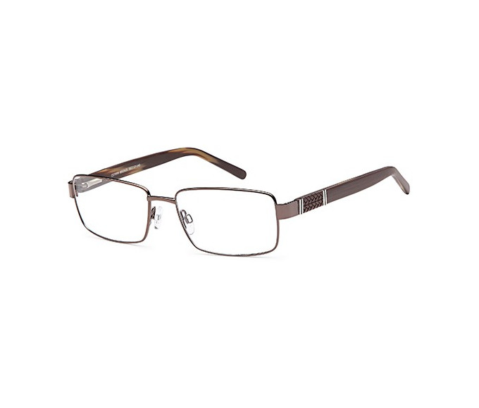 SFE-9653 glasses in Bronze 
