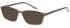 SFE-9579 sunglasses in Grey 