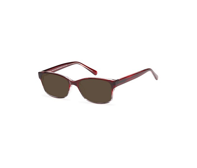 SFE-9612 sunglasses in Brown/Grey 