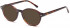 SFE-9507 sunglasses in Havana 