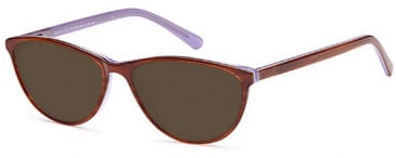 SFE Plastic Ready-made Reading Sunglasses