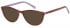 SFE-9544 sunglasses in Brown 