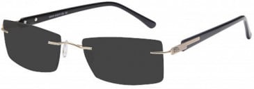 SFE-9571 sunglasses in Gold 