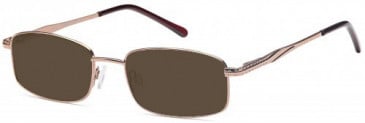SFE-9619 sunglasses in Brown 