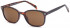 SFE-9686 Sunglasses in Matt Havana