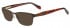 Ted Baker TB2204 glasses in Brown