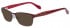 Ted Baker TB2204 glasses in Red