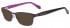 Ted Baker TB2204 glasses in Purple