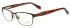 Ted Baker TB2204 glasses in Brown
