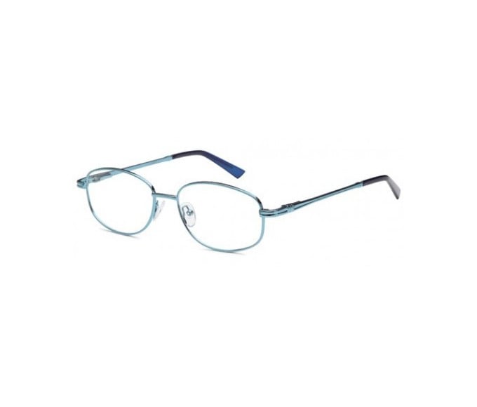 SFE glasses in Blue