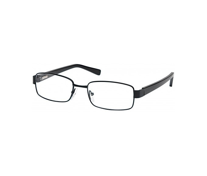 SFE glasses in Black