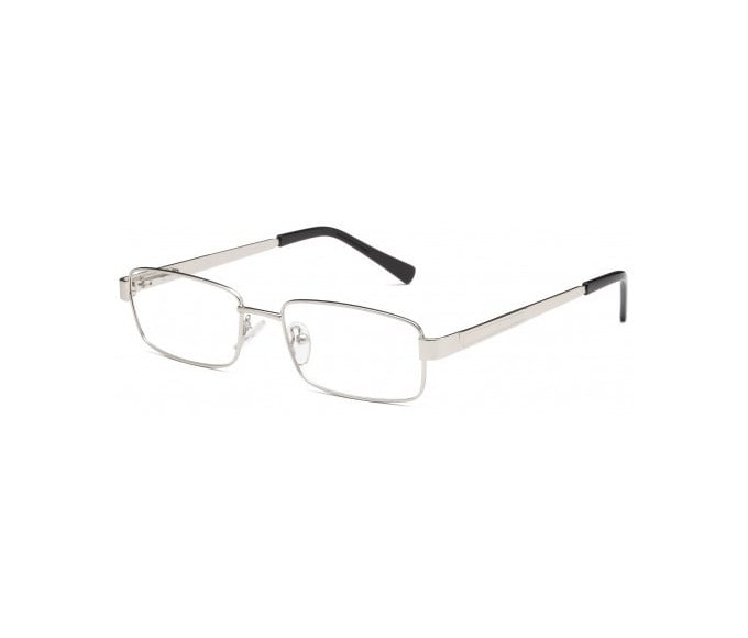 SFE glasses in Silver