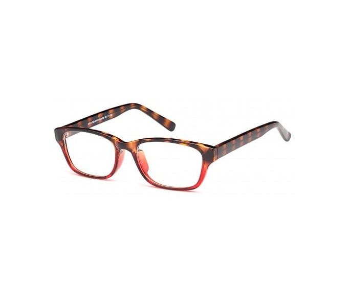 SFE glasses in Brown/Red