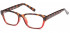 SFE glasses in Brown/Red