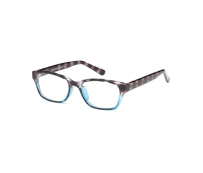 SFE glasses in Grey/Blue