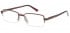 SFE glasses in Bronze