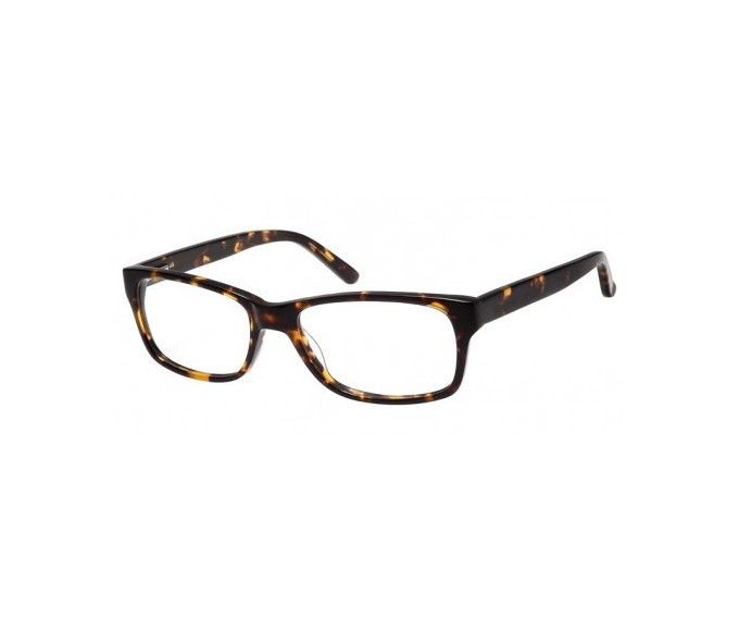 SFE Plastic Prescription Glasses Turtle